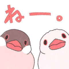 sakuramochimochi bird