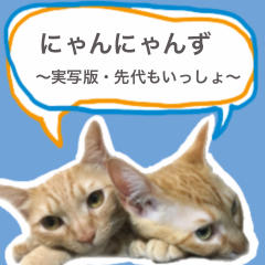 Cats of my family.NYAN-NYANS-Sticker