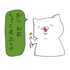 White cat with rich emotional expression