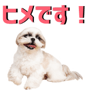 Hime very cute Sticker