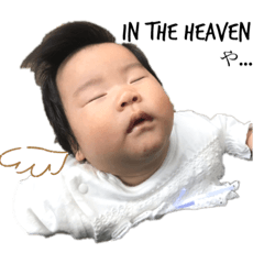 mizuki_20191121235941