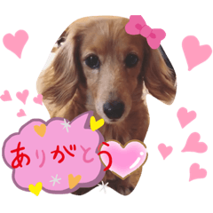 chococo_20191122105312