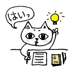 cat-kyorori daily