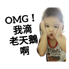 我家的三隻小熊