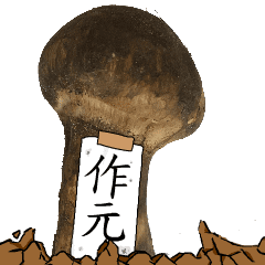 松茸研究家作元さんのマツタケ