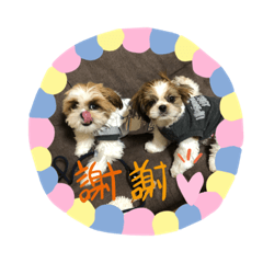 miyu0214_20191122083401