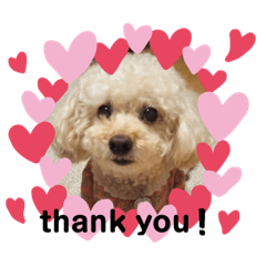 ayumi_20191121231409