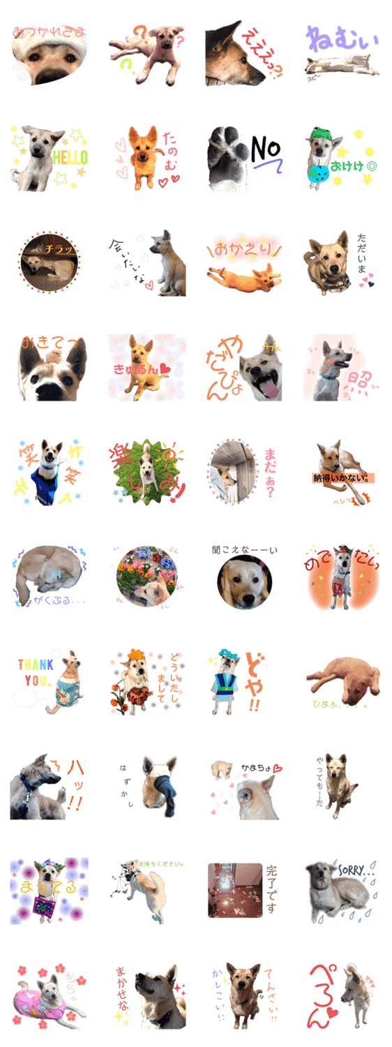 雑種犬ごんちゃん Lineクリエイターズスタンプ Stamplist