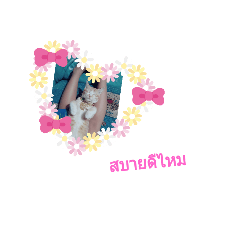 Jasmine_20191118210248