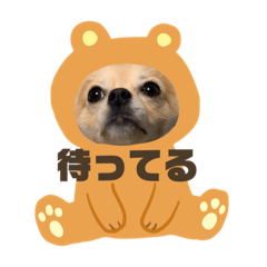 ayano_20191120155356