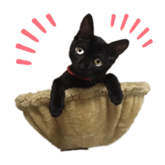 Yama_20191117204542
