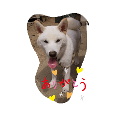 junjun_20191118164317