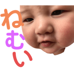 hikari_20191119105257