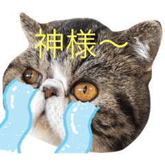 Arisa_20191119122012