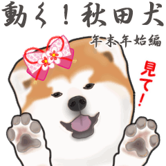 Akita dog's New Year's Holiday sticker2