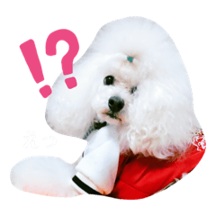 Minami_20191119154935