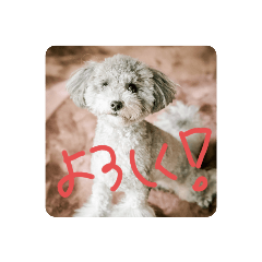 RYU_20191120200745