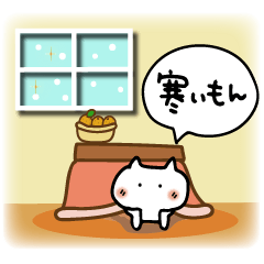 Winter of the cat