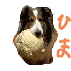 haruru_20191122170045