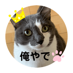 KUU_20191120102114