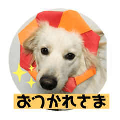 minako_20191122171100