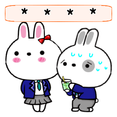 Rice Grey Rabbit - for students