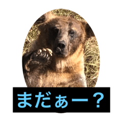 kota_20191122222356