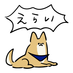 Mixed breed dog Choco-san