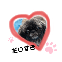 kaede_20191121131426
