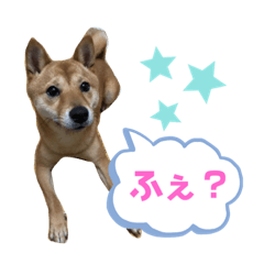 pon_1120