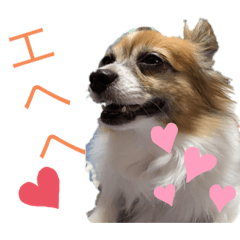 marina_20191122173330