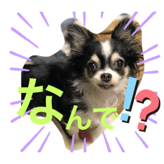 wantokidokinyan