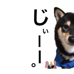 saori_20191122224516