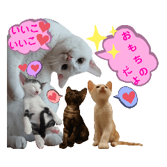 omochi_20191123023053
