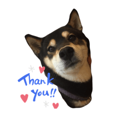 smile_20191123080555