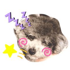 saya_20191123082902