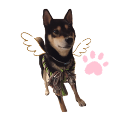 smile_20191123085156