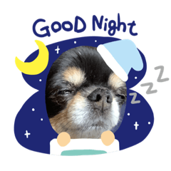 asuka_20191122235919