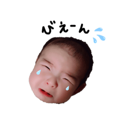 piyo_2019112310085