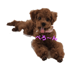 maron_20191123130432