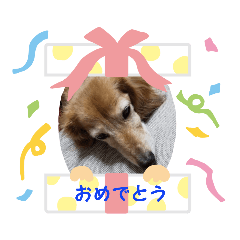 KAZUMI_20191123123022