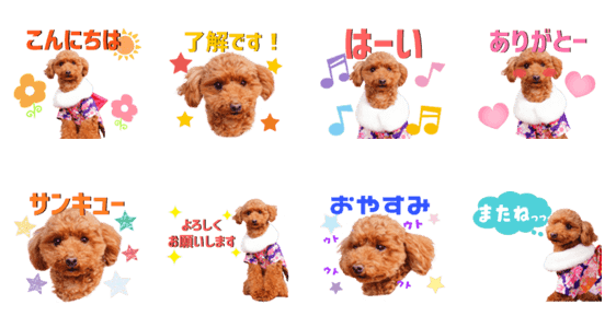 チョコちゃんのとっても可愛いスタンプです Lineクリエイターズスタンプ Stamplist