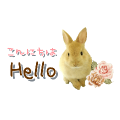 *うさぎのうさちゃん*基本のスタンプ♪②