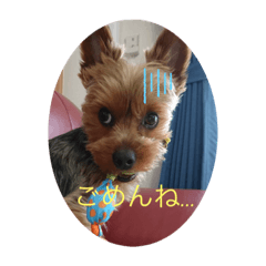 Sally_20191123214440