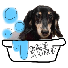 milky_20191123215232