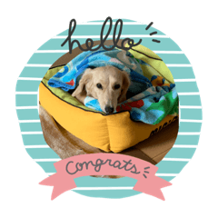 akiko_20191123215434