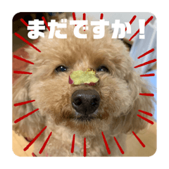 hello_20191123234519