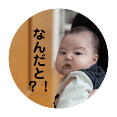 rina_20191123232710