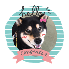 smile_20191123195611