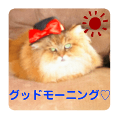 HANA_20191124002244
